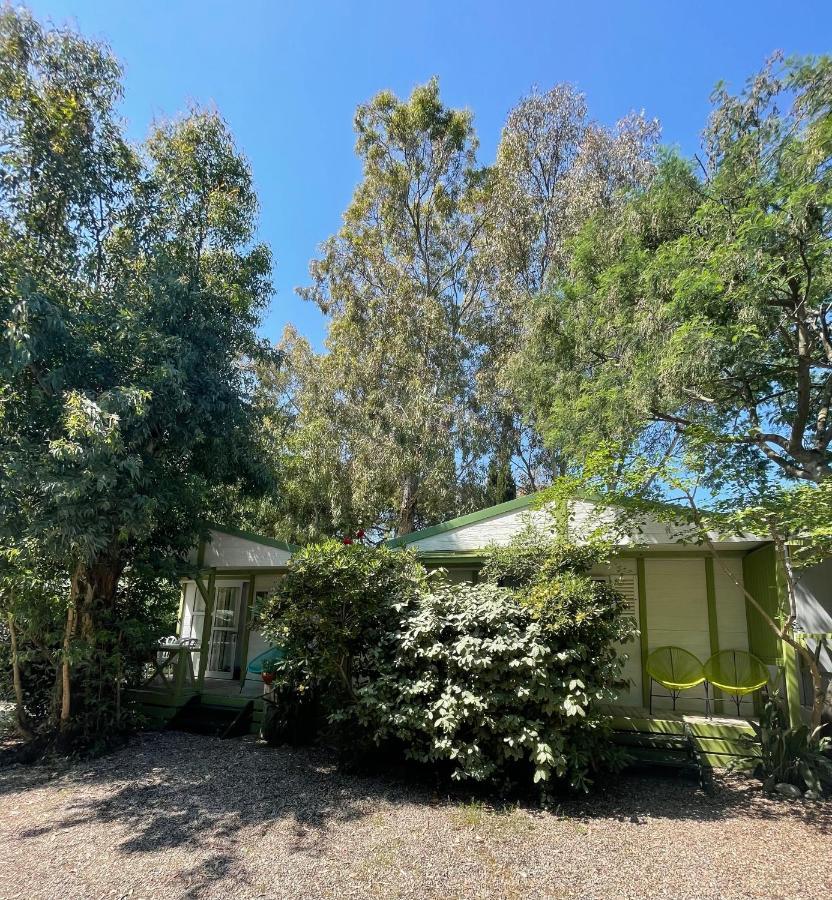 Camping La Cle Des Champs Calvi  Luaran gambar