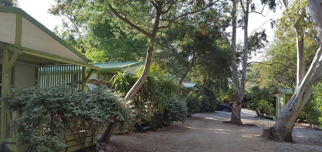 Camping La Cle Des Champs Calvi  Luaran gambar