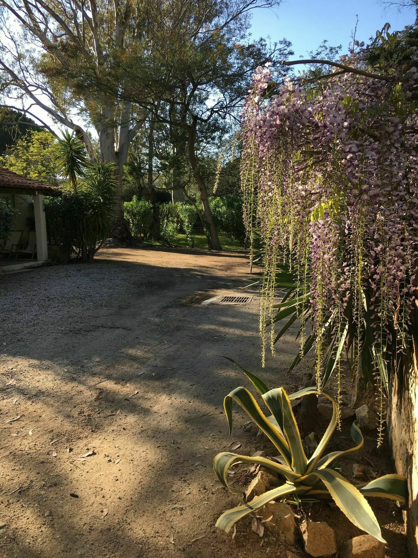 Camping La Cle Des Champs Calvi  Luaran gambar